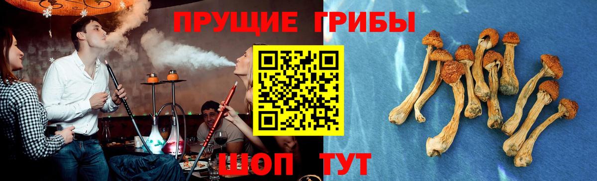 Фурманов  Псилоцибиновые грибы GOLDEN TEACHER  Псилоцибиновые грибы MAGIC MUSHROOMS  Вход с VPN 