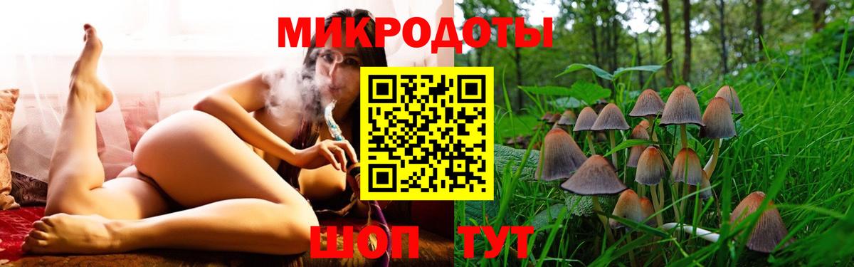 Галлюциногенные грибы прущие грибы Фурманов